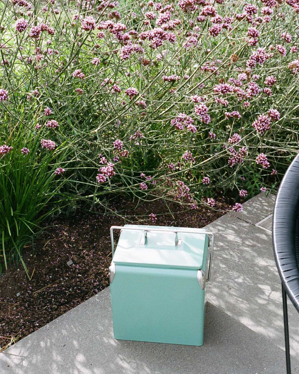 Napoleon Mini Chilly - Sage Green