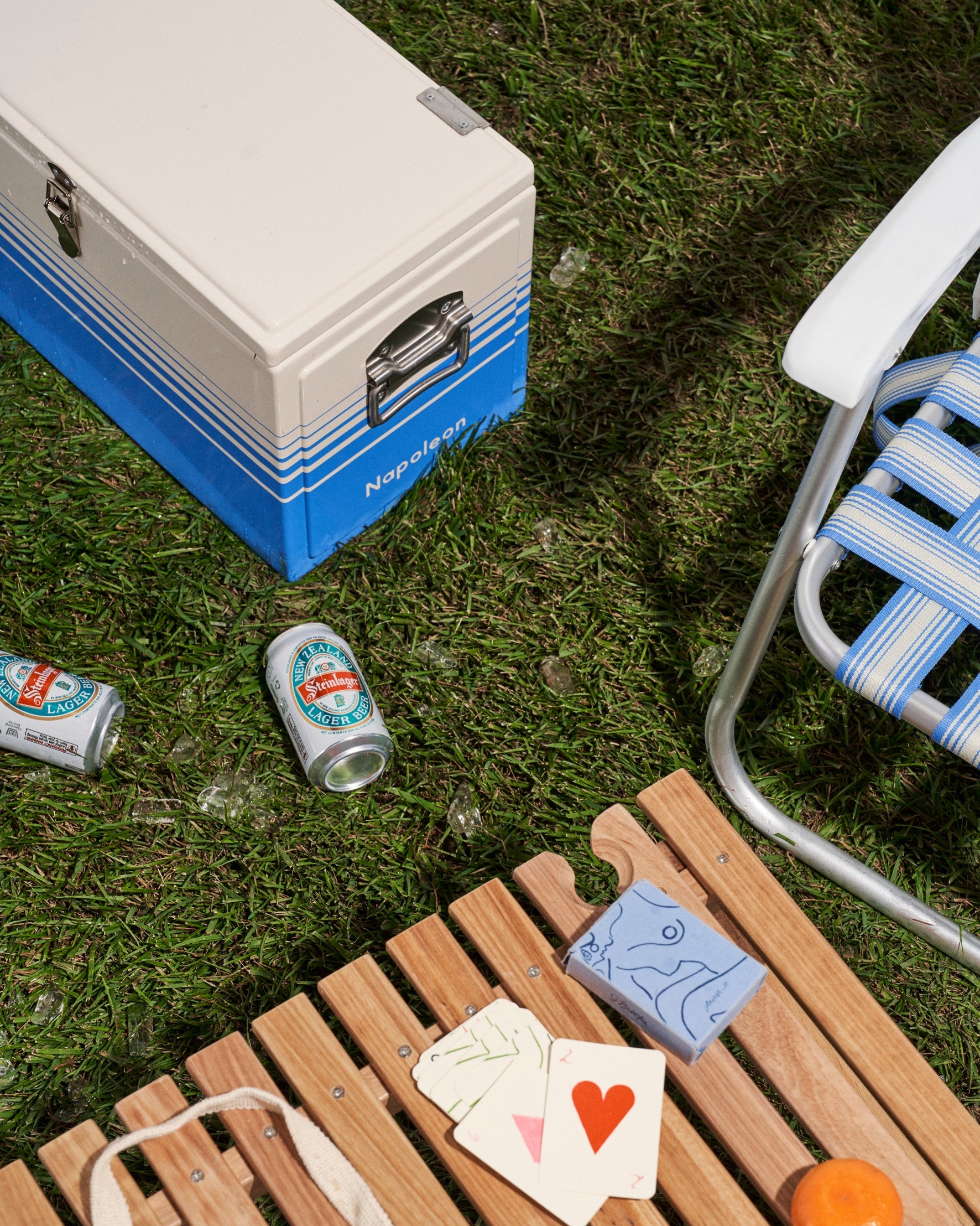 Napoleon Chilly Bin - Horizon Stripe