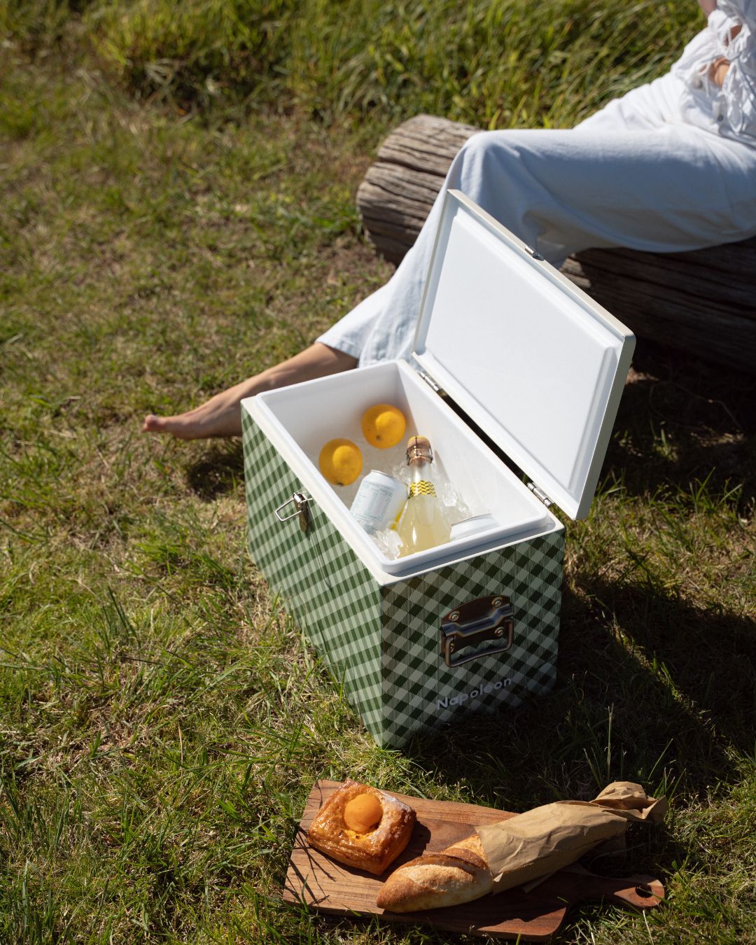 Napoleon Chilly Bin - Avocado Gingham