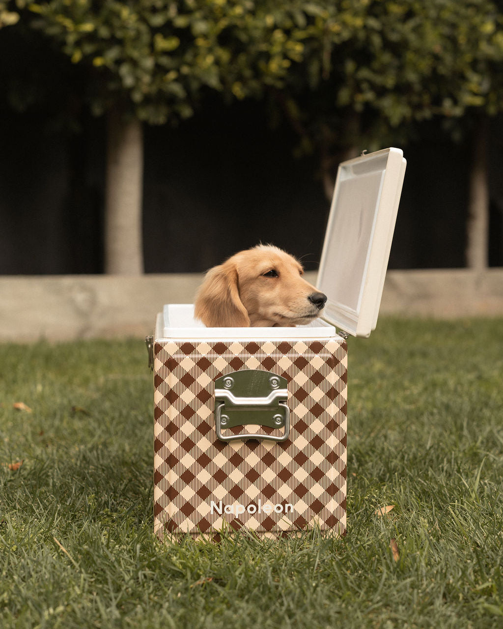 Chilly Bin - Caramel Gingham