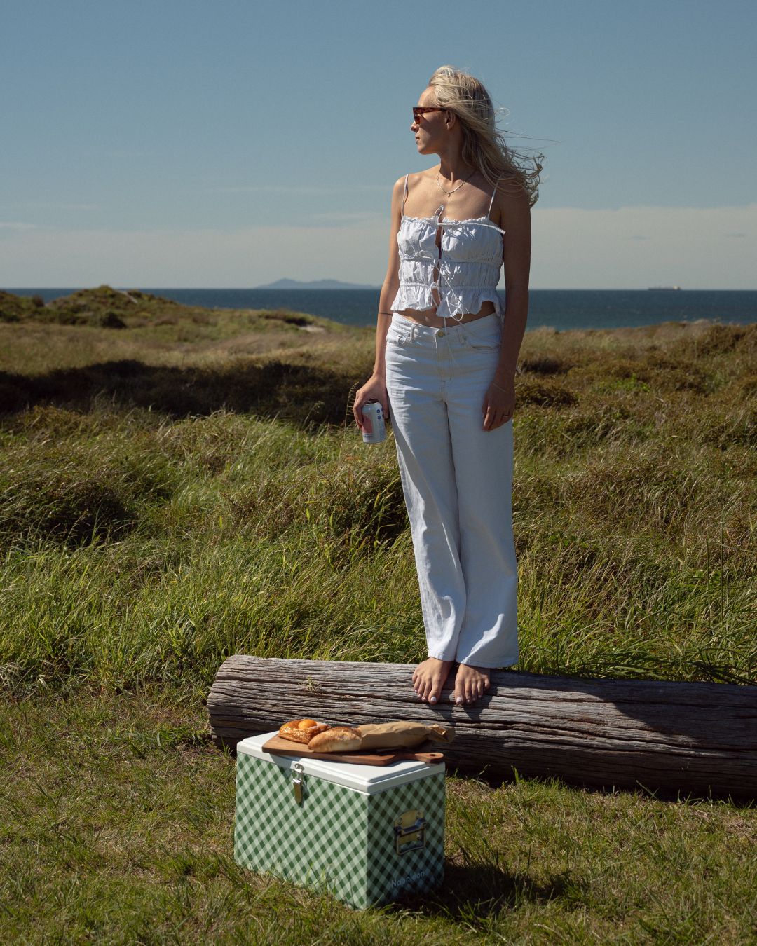 Napoleon Chilly Bin - Avocado Gingham