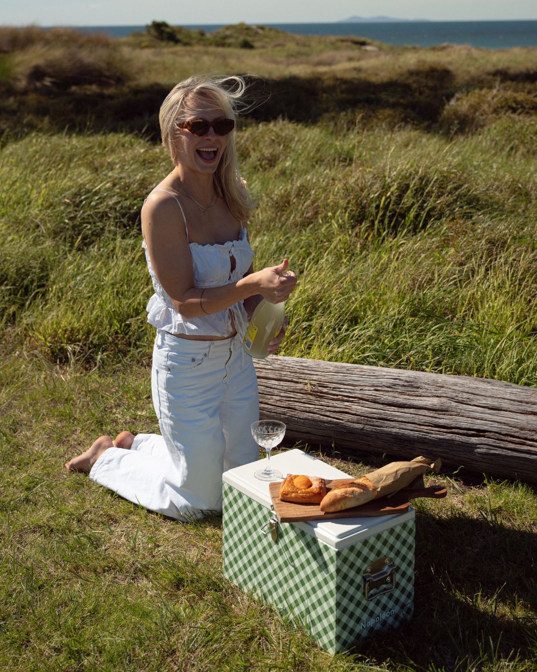 Napoleon Chilly Bin - Avocado Gingham