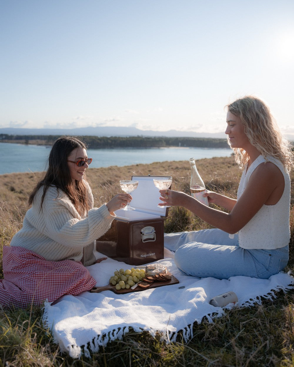 Napoleon Chilly Bin - Chocolate Brown