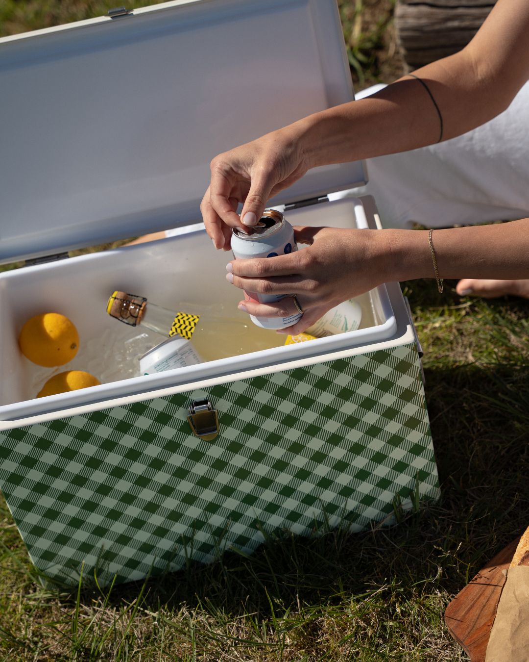 Napoleon Chilly Bin - Avocado Gingham